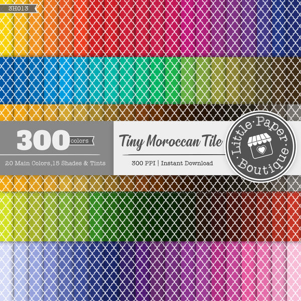 Rainbow Tiny Moroccan Digital Paper 3H013