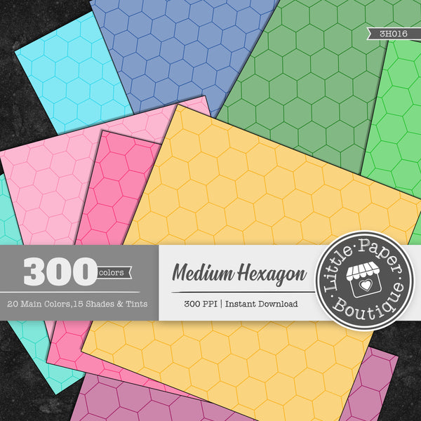 Rainbow Medium Hexagon Outline Digital Paper 3H016