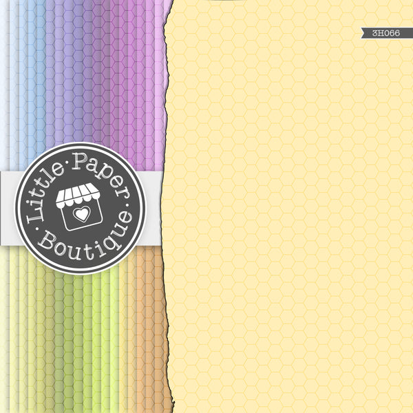 Rainbow Extra Small Outline Hexagon Digital Paper 3H066