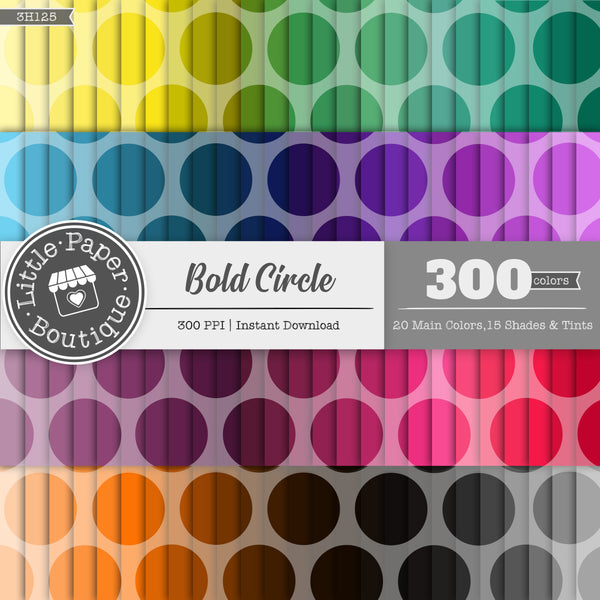 Rainbow Bold Circle Overlay Digital Paper 3H125