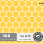 Rainbow Bold Circle Overlay Digital Paper 3H125