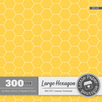 Rainbow Large Solid Hexagon Digital Paper 3H143