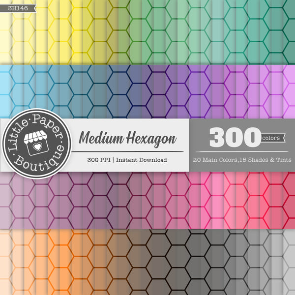 Rainbow Medium Hexagon Outline Digital Paper 3H146