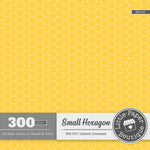 Rainbow Small Solid Hexagon Digital Paper 3H147