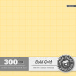 Rainbow Bold Grid Digital Paper 3H150