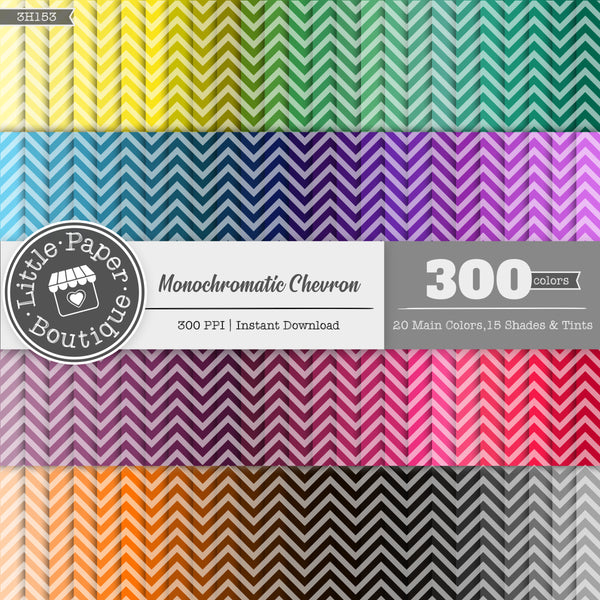 Rainbow Monochromatic Chevron Digital Paper 3H153
