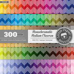 Rainbow Monochromatic Medium Chevron Digital Paper 3H156
