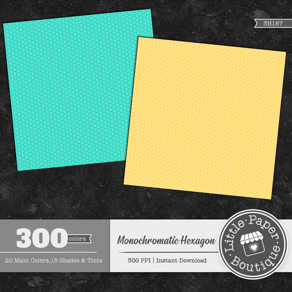 Rainbow Monochromatic Hexagon Digital Paper 3H157