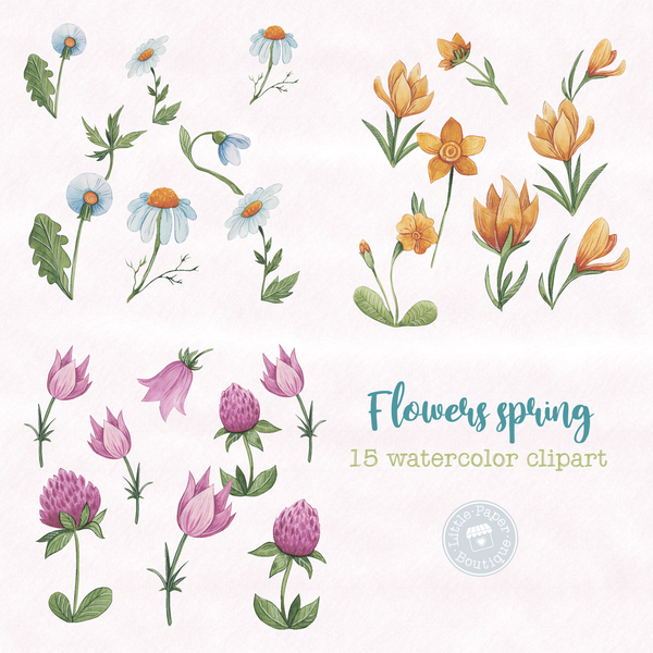 Flowers Spring Digital Clipart CA006