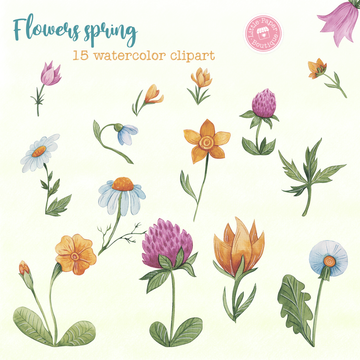 Flowers Spring Digital Clipart CA006