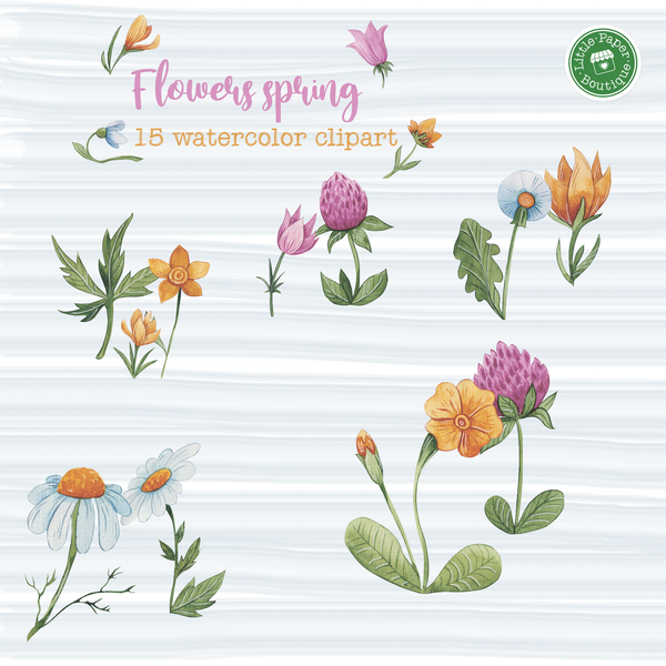 Flowers Spring Digital Clipart CA006