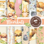 African Meerkat Watercolor Digital Paper LPB1024A