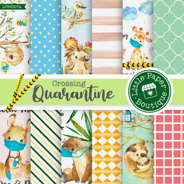 Quarantine Crossing Digital Paper LPB3007A