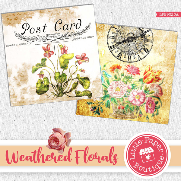 Weathered Florals Digital Paper LPB9020A