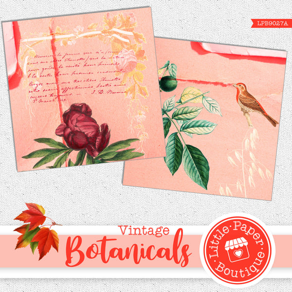 Botanicals Vintage Digital Paper LPB9027A